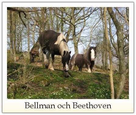 Bellman och Beethoven