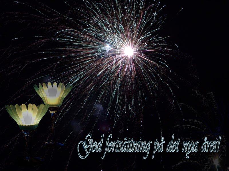 Gott nytt år!