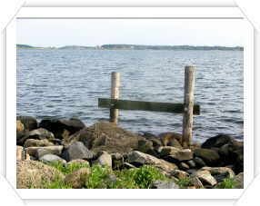 Havet
