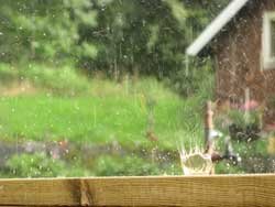 Regn