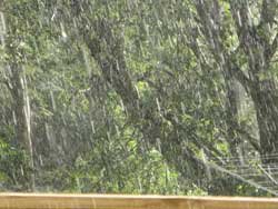 Regn