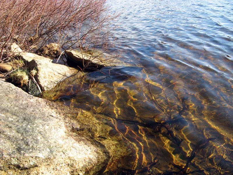 Nordsjön