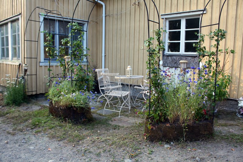 Har klippt bort ogräset
