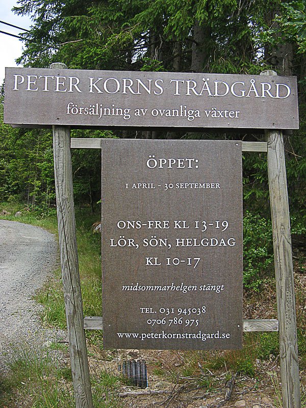 Peter Korns Trädgård