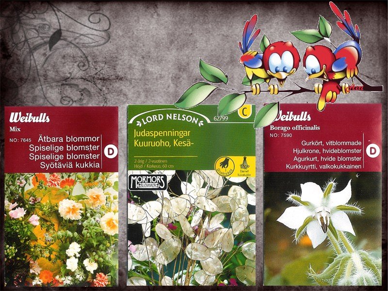 Blommor