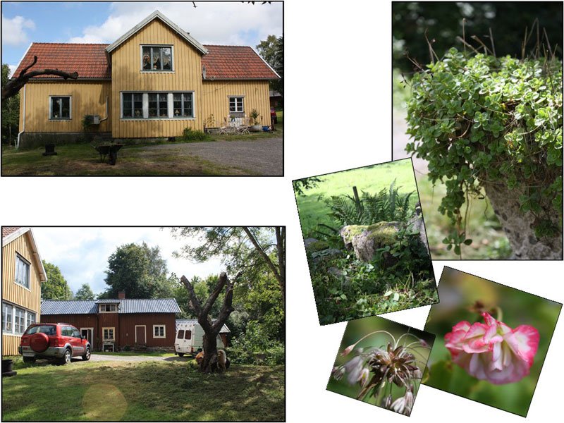 Framsidan