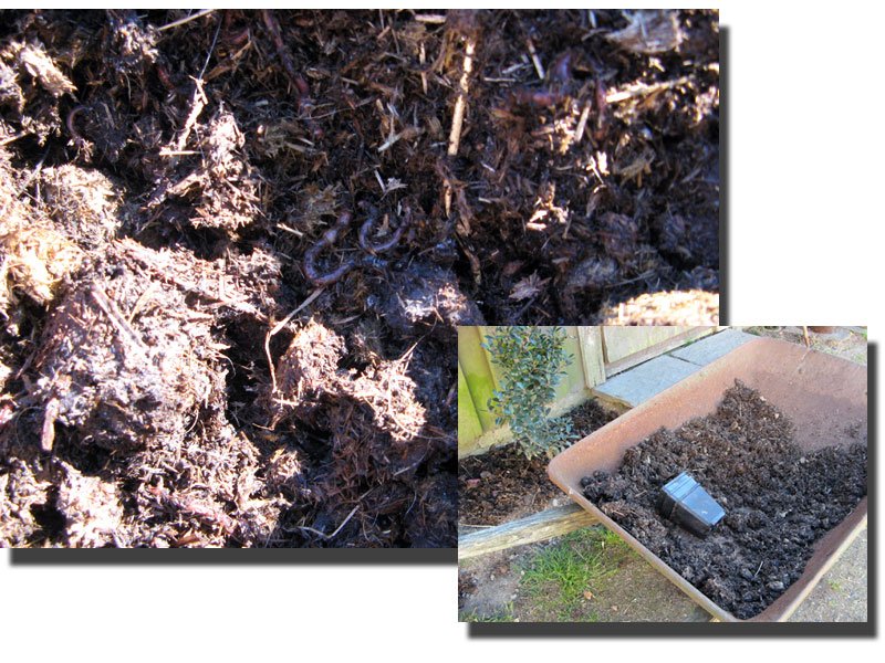 Tisdagstema : Naturmaterial