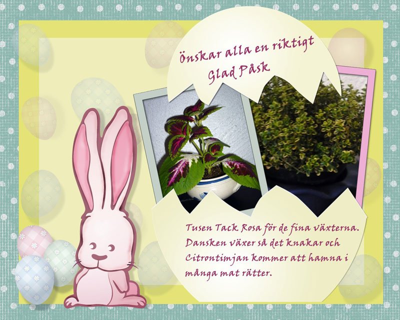 Glad Påsk